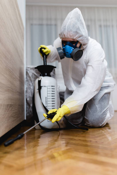 Best Real Estate Pest Inspections  in Strathmore, NJ